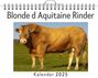 Luca Lang: Blonde d Aquitaine Rinder, KAL