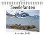 David Becker: Seeelefanten, KAL