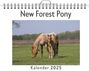 Elias Klein: New Forest Pony, KAL