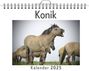 Emily Möller: Konik, KAL