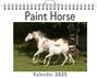 Matteo Kaiser: Paint Horse, KAL