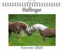 Luca Peters: Haflinger, KAL