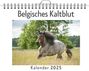 Emilia Fischer: Belgisches Kaltblut, KAL