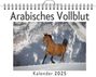 Samuel Huber: Arabisches Vollblut, KAL