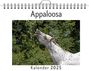 Paul Scholz: Appaloosa, KAL