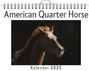 Luca Weber: American Quarter Horse, KAL