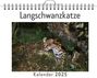 Ella Lang: Langschwanzkatze, KAL