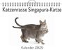 Leon Wolf: Katzenrasse Singapura-Katze, KAL