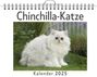 Marie Neumann: Chinchilla-Katze, KAL