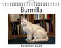 Jonas Schmidt: Burmilla, KAL