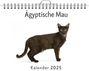 Emil Fischer: Ägyptische Mau, KAL