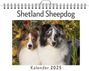 Felix Zimmermann: Shetland Sheepdog, KAL