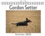 Jakob Schneider: Gordon Setter, KAL