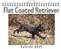 Lena Schmitz: Flat Coated Retriever, KAL