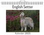 Lucas Münch: English Setter, KAL