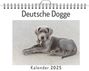 Lily Scholz: Deutsche Dogge, KAL