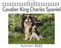 Linus Braun: Cavalier King Charles Spaniel, KAL