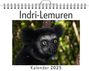 Lucy Hartmann: Indri-Lemuren, KAL