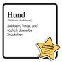 Sarah Krause: Hund, Buch
