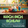 Julian Schmitt: Koch dich schlau, Buch