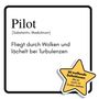 Sarah Lehmann: Pilot, Buch