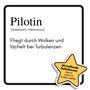 Lucy Meier: Pilotin, Buch