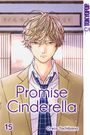 Oreco Tachibana: Promise Cinderella 15, Buch