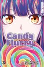 Ippon Takegushi: Candy Flurry 03, Buch