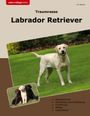 Tim Bessey: Traumrasse Labrador Retriever, Buch
