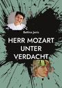 Bettina Janis: Herr Mozart unter Verdacht, Buch