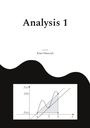 Knut Smoczyk: Analysis 1, Buch