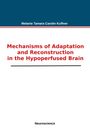 Melanie Tamara Carolin Kuffner: Mechanisms of Adaptation and Reconstruction in the Hypoperfused Brain, Buch