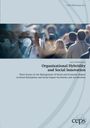 Lucca Nietlispach: Organizational Hybridity and Social Innovation, Buch