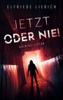 Elfriede Liebich: Jetzt oder nie!, Buch