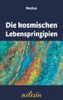 Beatus Steinmann: Die kosmischen Lebensprinzipien, Buch