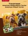 Dirk Kremer: Traumrasse American Staffordshire Terrier, Buch