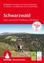 "60 Touren im Breisgau und Hochschwarzwald... Schwarzwald: Süd: zwischen Freiburg und Basel. Zwei Wanderer genießen die Aussicht."