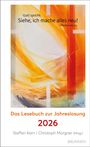 Christoph Morgner: Siehe, ich mache alles neu!, Buch