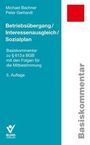 Michael Bachner: Betriebsübergang / Interessenausgleich / Sozialplan, Buch