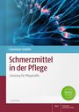 Constanze Schäfer: Schmerzmittel in der Pflege, Buch