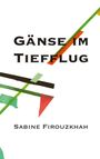 Sabine Firouzkhah: Gänse im Tiefflug, Buch
