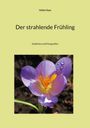 Heike Haas: Der strahlende Frühling, Buch