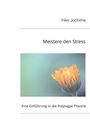 Inke Jochims: Meistere den Stress, Buch