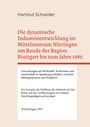 Hartmut Schneider: Die dynamische Industrieentwicklung im Mittelzentrum Nürtingen am Rande der Region Stuttgart bis zum Jahre 1980, Buch