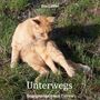 Eva Lübbe: Unterwegs, Buch