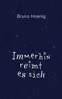 Bruno Hoenig: Immerhin reimt es sich, Buch
