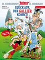 René Goscinny: Asterix Mundart Ruhrdeutsch IX, Buch