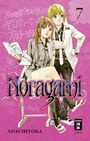 Adachitoka: Noragami 07, Buch