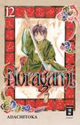 Adachitoka: Noragami 12, Buch