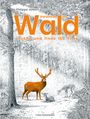 Philippe Jalbert: Versteckt im Wald, Buch